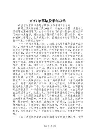 20XX年驾培股半年总结 