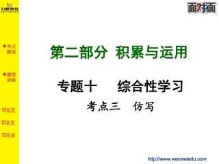 专题十考点三仿写