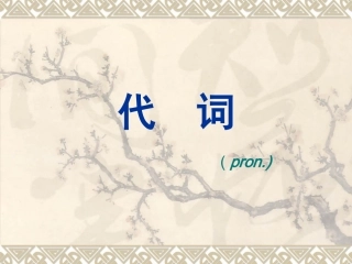 初中英语代词课件(精品全面)