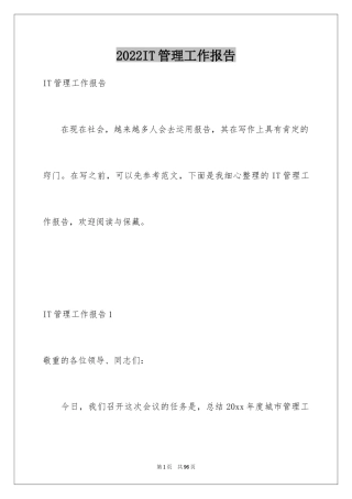 2024IT管理工作报告_1