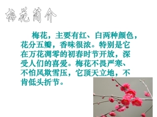 《梅花魂》课件6 (2)
