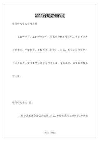 2024好词好句作文_334