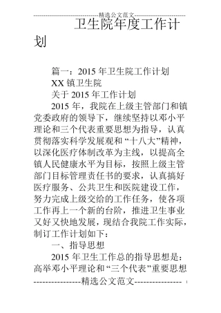 卫生院年工作计划