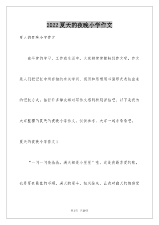 2024夏天的夜晚小学作文