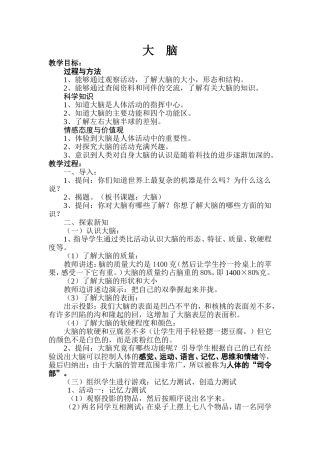 《大脑》教学设计