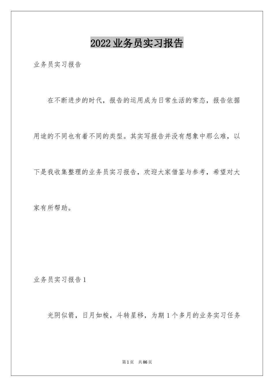 2024业务员实习报告_1_第1页