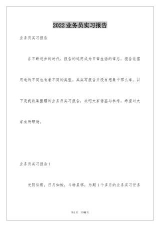 2024业务员实习报告_1