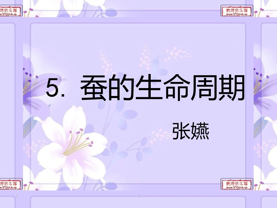 蚕的生命周期_第1页