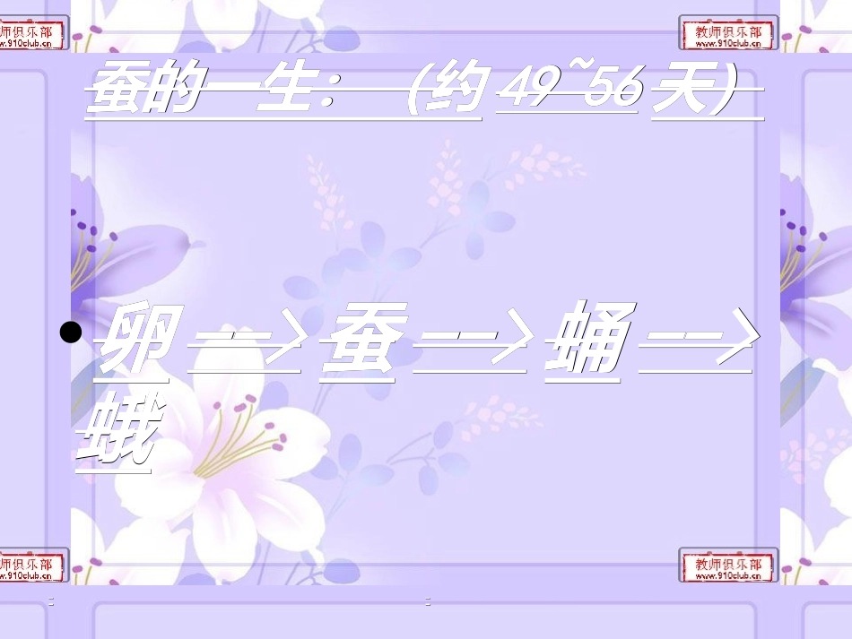 蚕的生命周期_第2页