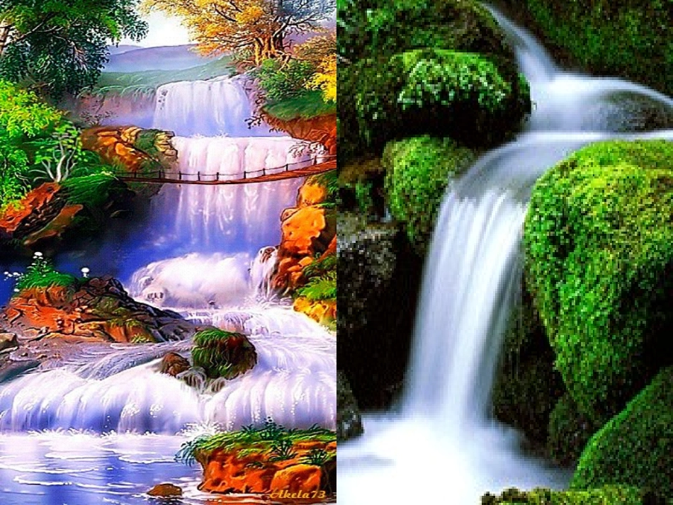 大自然的语言(1)_第1页