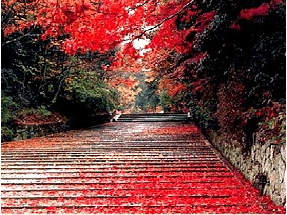 大自然的语言(1)_第3页