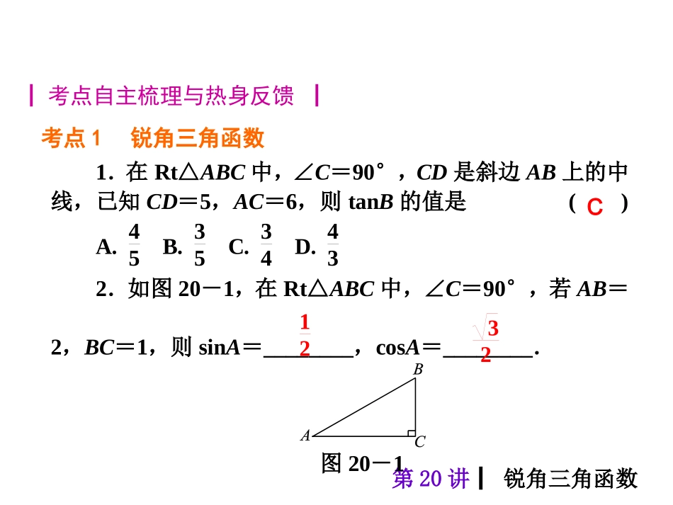2015人教新课标中考总复习课件(第20讲锐角三角函数)_第2页