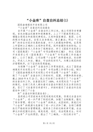 “小金库”自查自纠总结