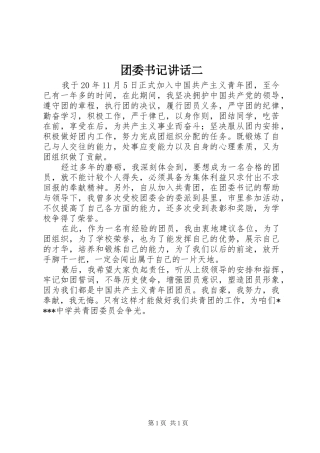 团委书记讲话发言二