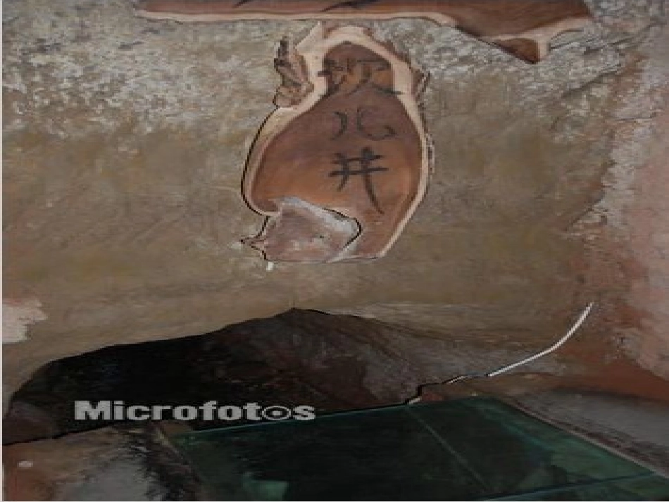 五十六个民族_第3页