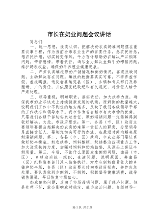 市长在奶业问题会议讲话发言