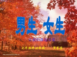 男生女生课件