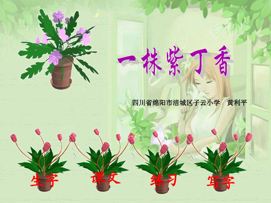 一株紫丁香修改版_第1页