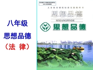 人民当家做主的国家课件1
