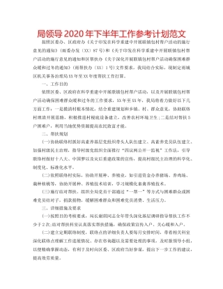 局领导2020年下半年工作参考计划范文 