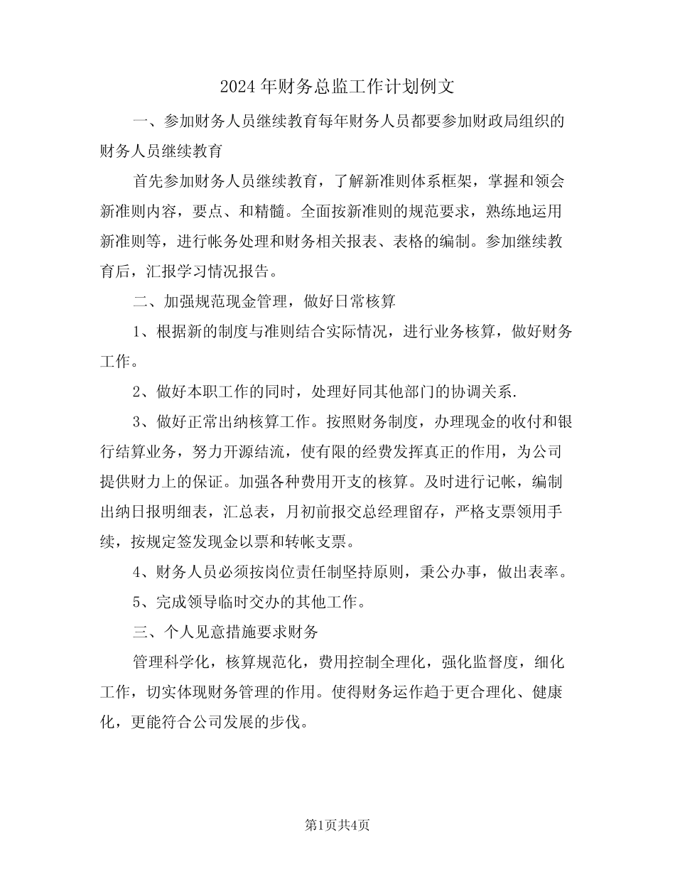 2024年财务总监工作计划例文(二篇) _第1页
