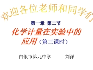 化学计量在实验中的应用 (2)