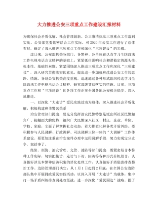 大力推进公安三项重点工作建设汇报材料 