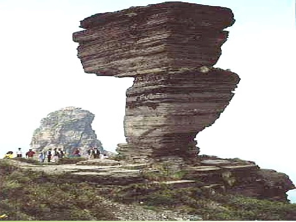 沪江小学资源网_19最大的书_第1页