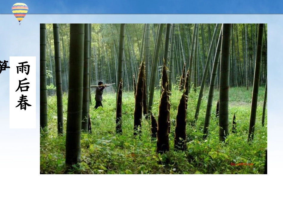 植物根的生长 (4)_第2页