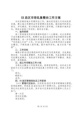 XX县区市容乱象整治工作方案