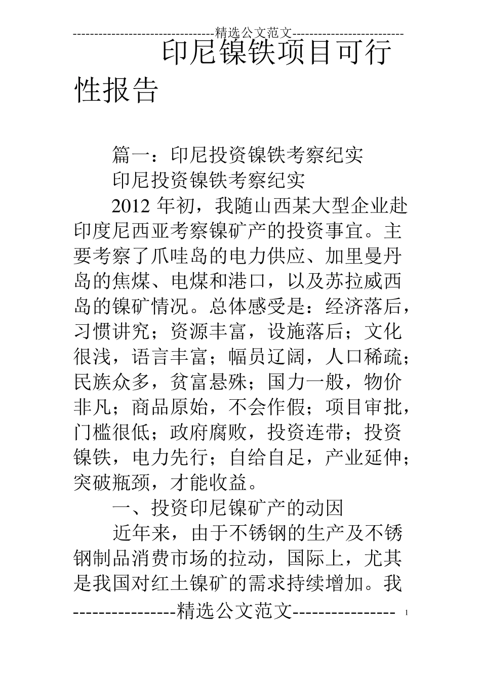印尼镍铁项目可行性报告_第1页