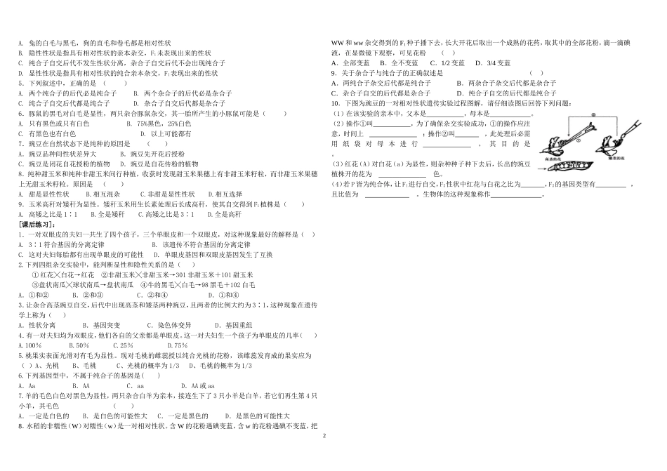 孟德尔的豌豆杂交实验一第课时_第2页