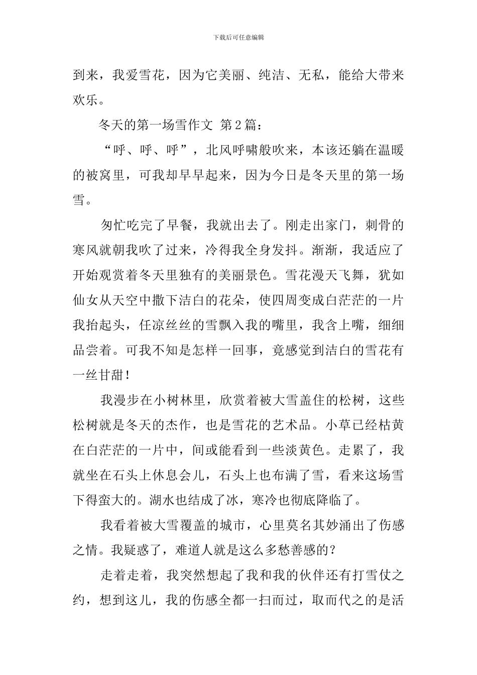 冬天的第一场雪作文_第2页