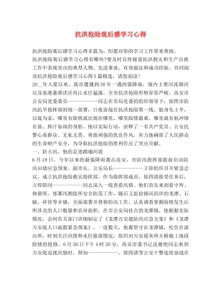 抗洪抢险观后感学习心得 