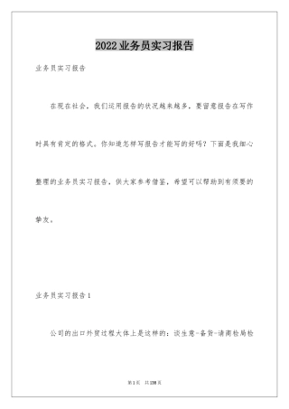 2024业务员实习报告_10