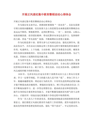 开展正风肃纪集中教育整顿活动心得体会 