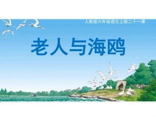 _老人与海鸥