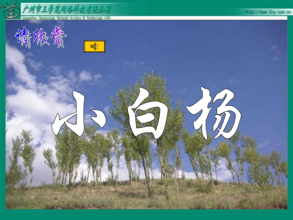 《白杨》PPT课件_第1页