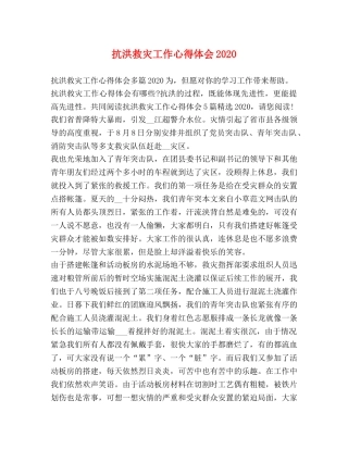 抗洪救灾工作心得体会2020 