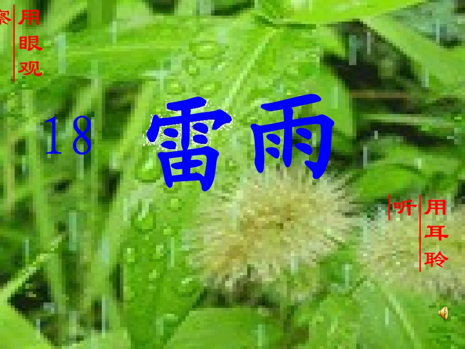二年级语文下册第五组18雷雨第一课时课件_第2页