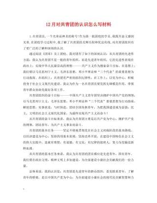 12月对共青团的认识怎么写材料