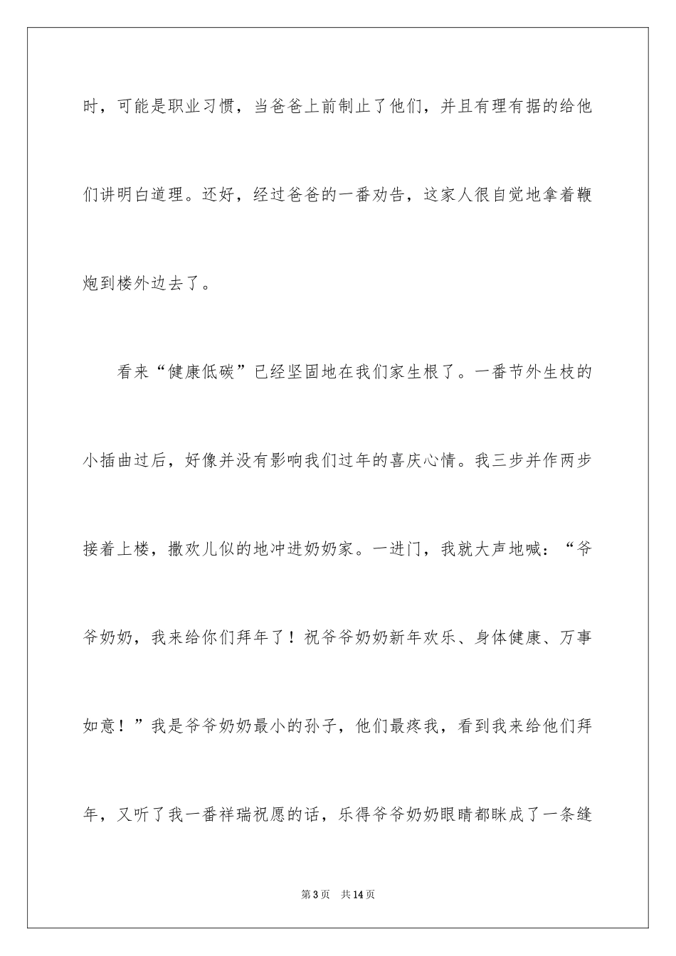 2024大年初一的作文_17_第3页