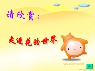 开花和结果 (2)