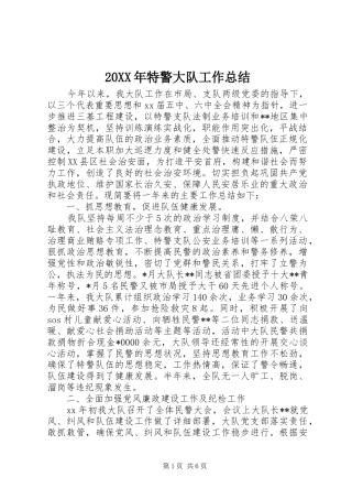20XX年特警大队工作总结