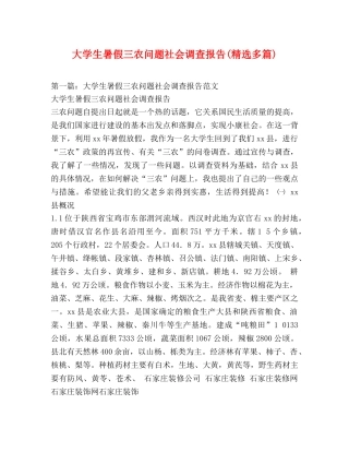 大学生暑假三农问题社会调查报告(精选多篇) 