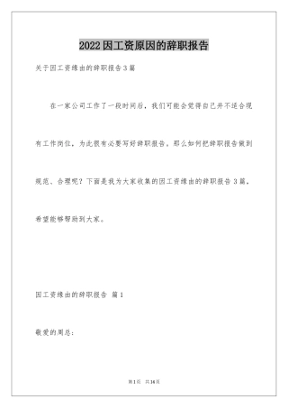 2024因工资原因的辞职报告