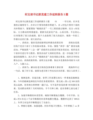 村支部书记抓党建工作述职报告3篇 