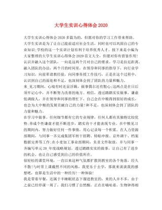大学生实训心得体会2020 