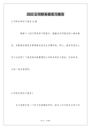 2024公司财务部实习报告_1