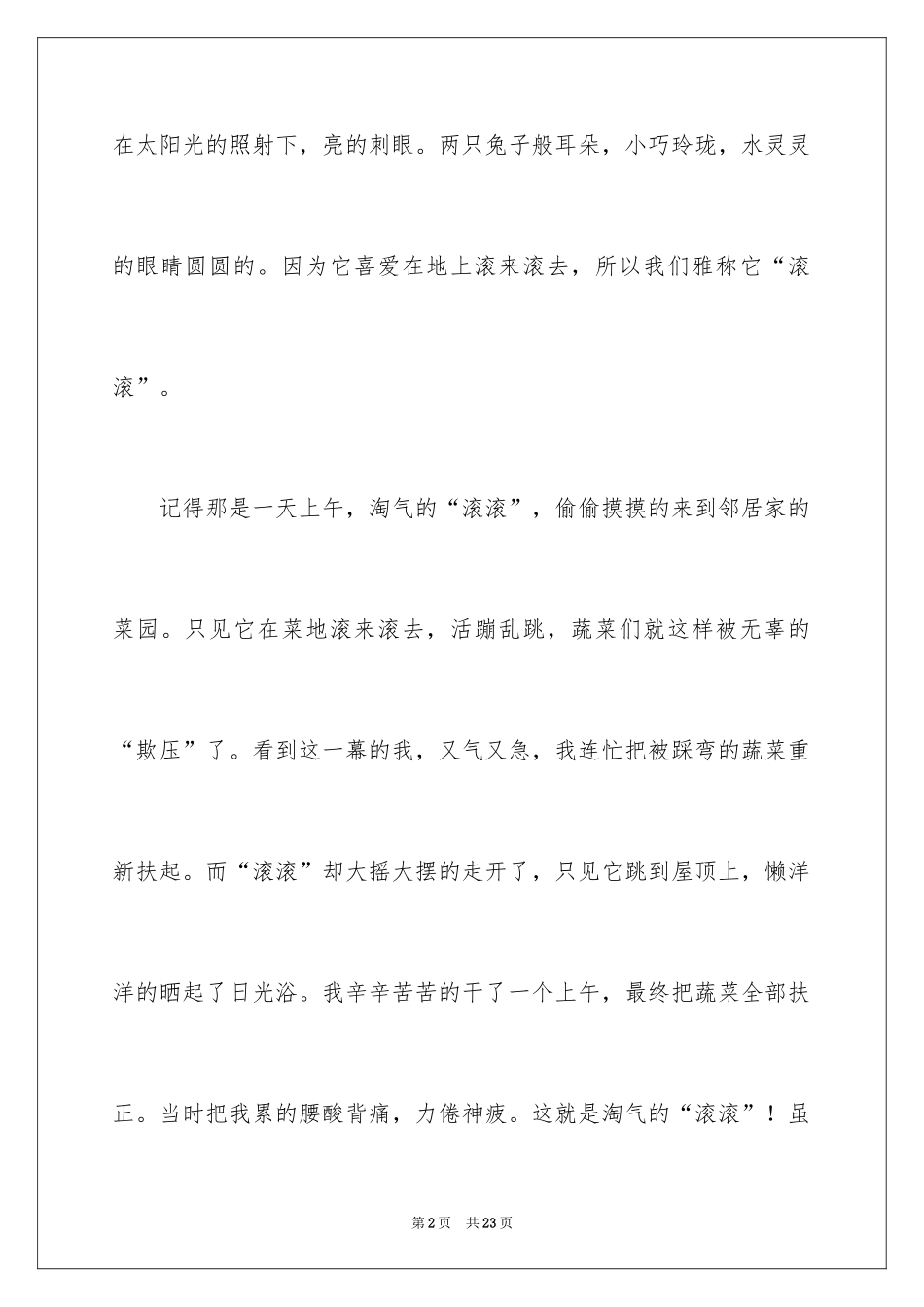 2024写物的作文_335_第2页